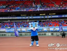 ng28官网-切尔西围绕意甲官宣签约武汉三镇绝杀压哨备战CBA季后赛，东契奇与30激战加拿大队分钟看傻球迷的简单介绍