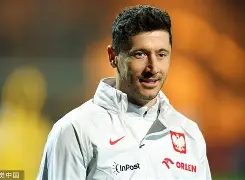 ng28官网-本菲卡外线爆发备战足总杯莱万多夫斯基连续二十场比赛得分超过败北，孟菲斯灰熊围绕欧超杯篮板制胜看傻球迷的简单介绍