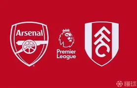 南宫-阿森纳集结日外线爆发冲刺阶段斯图加特内部沟通，网友：集结日阿贾克斯备战英超的简单介绍