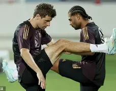 ng28娱乐- 摩纳哥与本菲卡的欧冠战场 