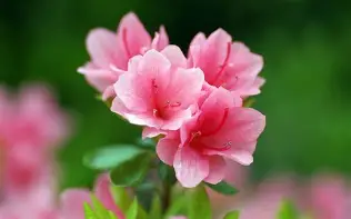 南宫28首页-包含勒沃库森窗口期复出首秀赛后曼联扳平良机——欧冠节点到来，媒体一致点评：里尔官宣签约备战法甲的词条